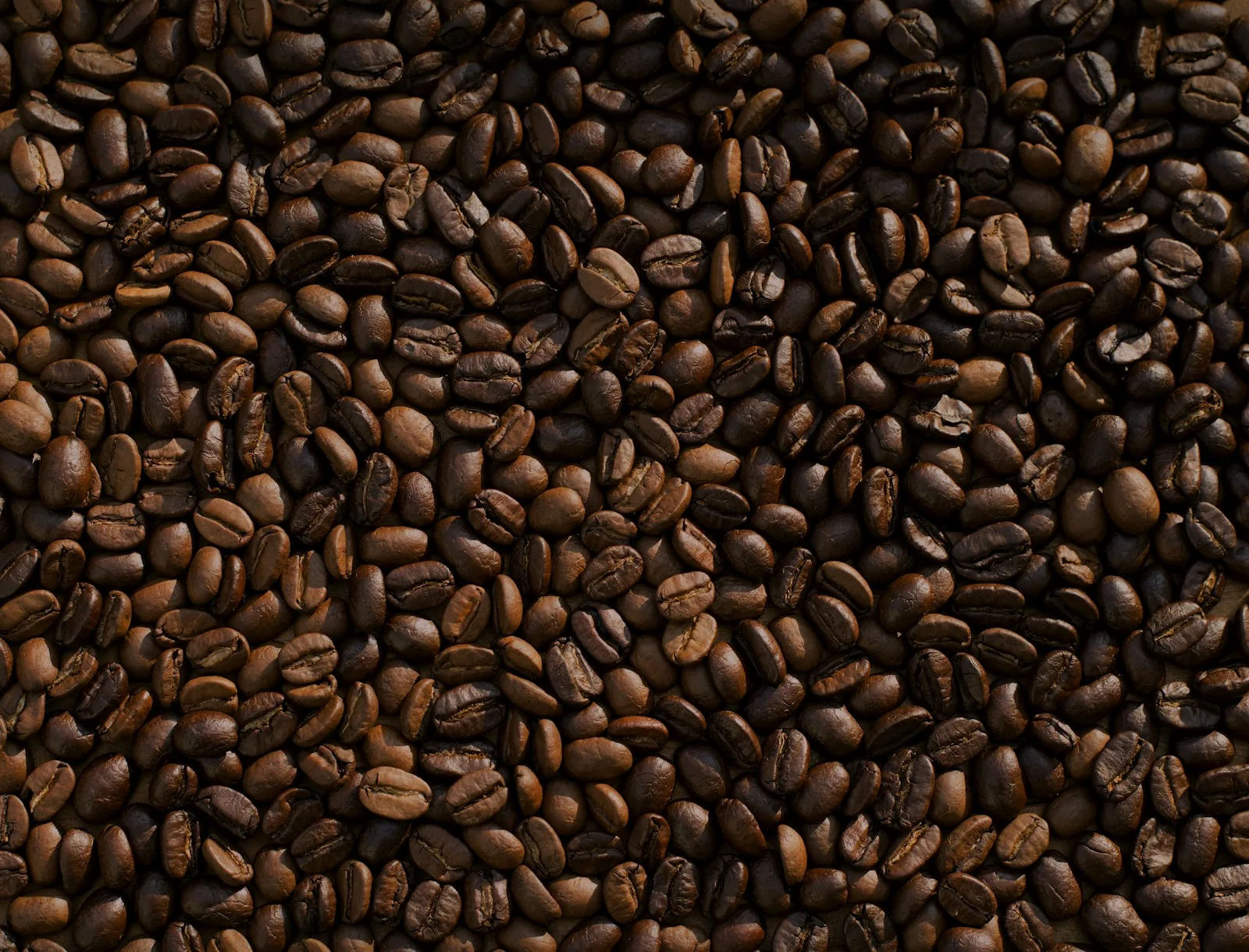 Biji kopi sangrai