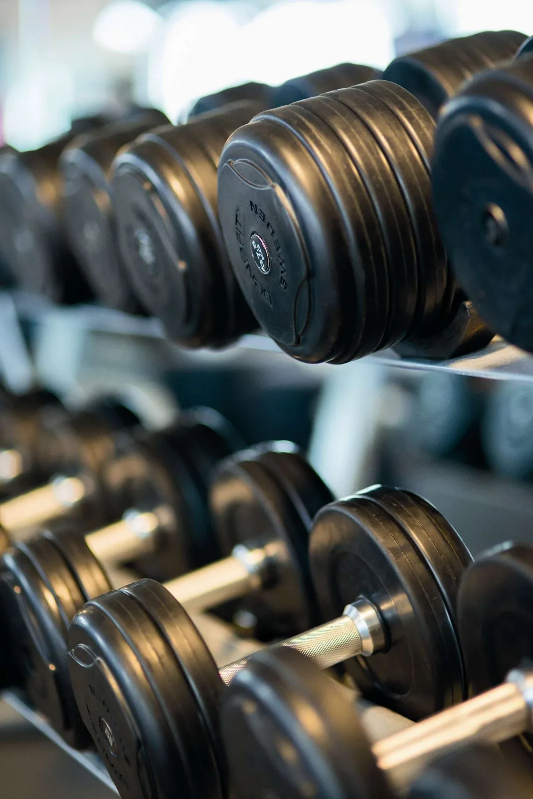 Studio Dumbbell Collection