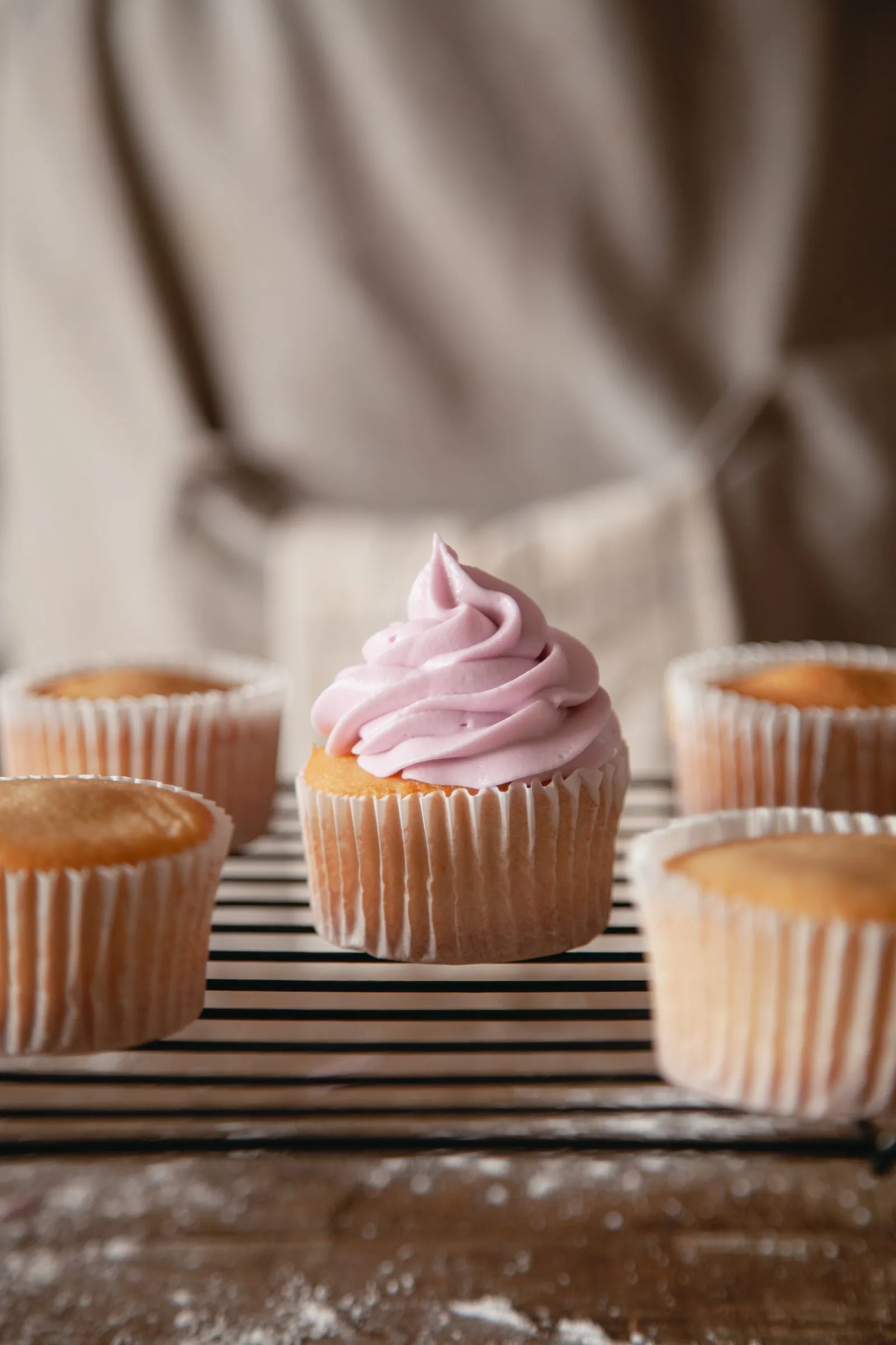 Little Cupcake Box