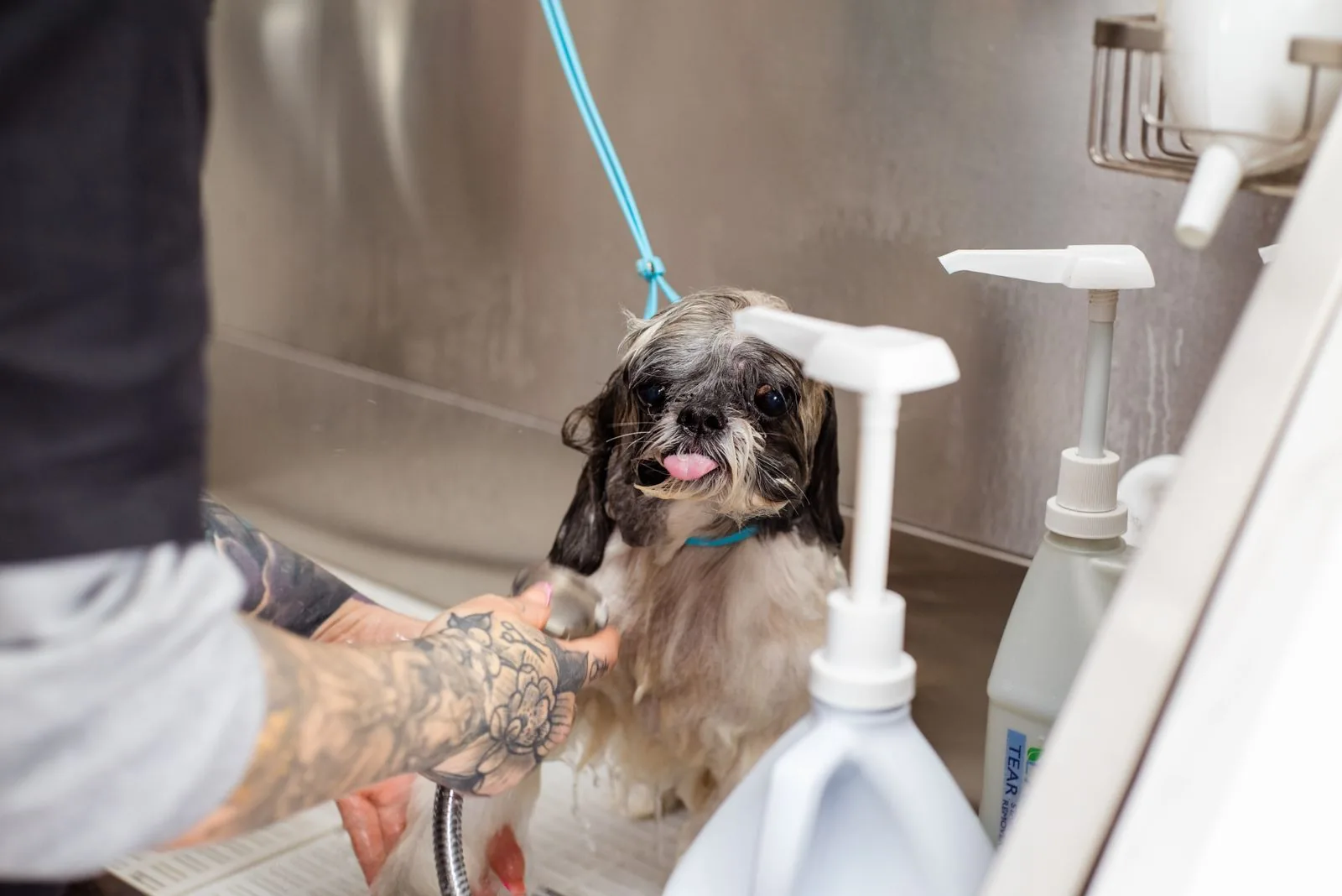 Bath & Brush