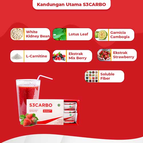 S3CARBO – Hendra Kuang